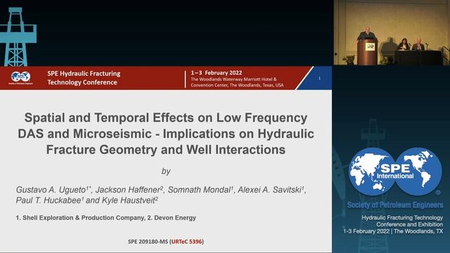 Spatial and Temporal Effects on Low Frequency DAS and Microseismic Implications on Hydraulic Fracture Geometry and Well Interactions